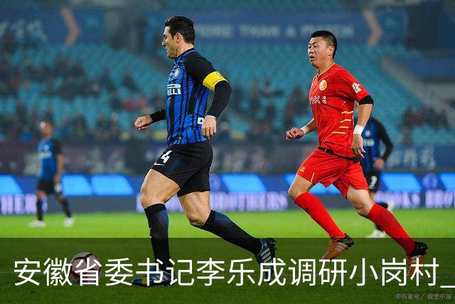安徽省委书记李乐成调研小岗村 助推乡村振兴