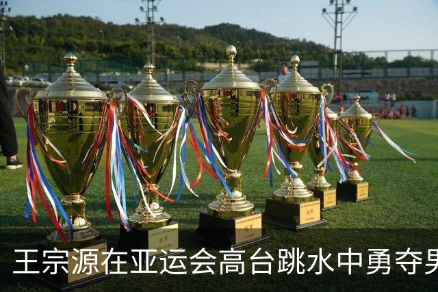 王宗源在亚运会高台跳水中勇夺男子3米跳板金牌